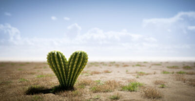 Turbulence is the New Normal: Let’s Stop Adding to It